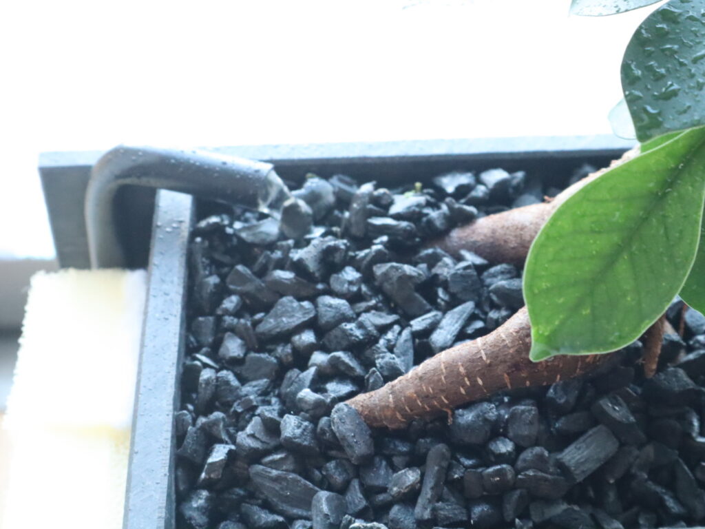 「せせらぎビオトープ」の浄化装置のアップ画像