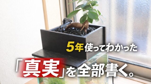 5年愛用レビュー】せせらぎビオトープは本当に水換え不要？メリット 
