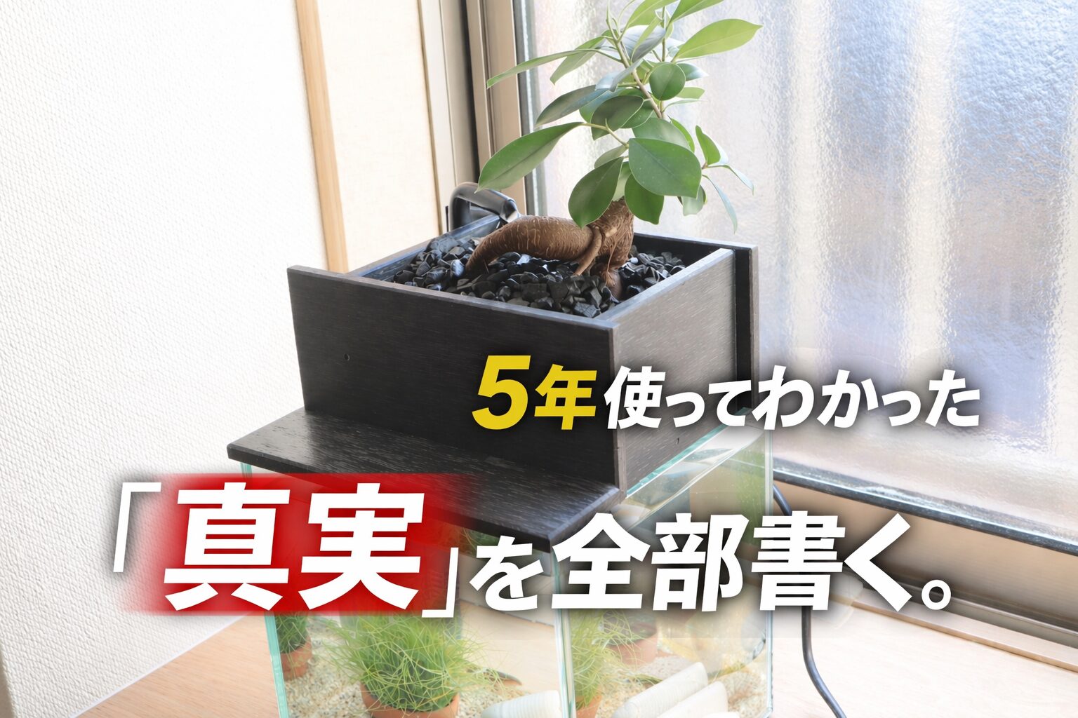 5年愛用レビュー】せせらぎビオトープは本当に水換え不要？メリット