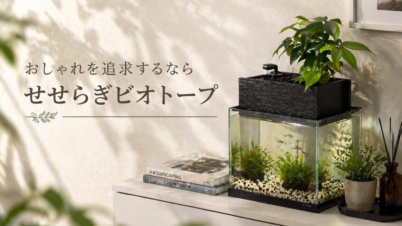 5年愛用レビュー】せせらぎビオトープは本当に水換え不要？メリット 