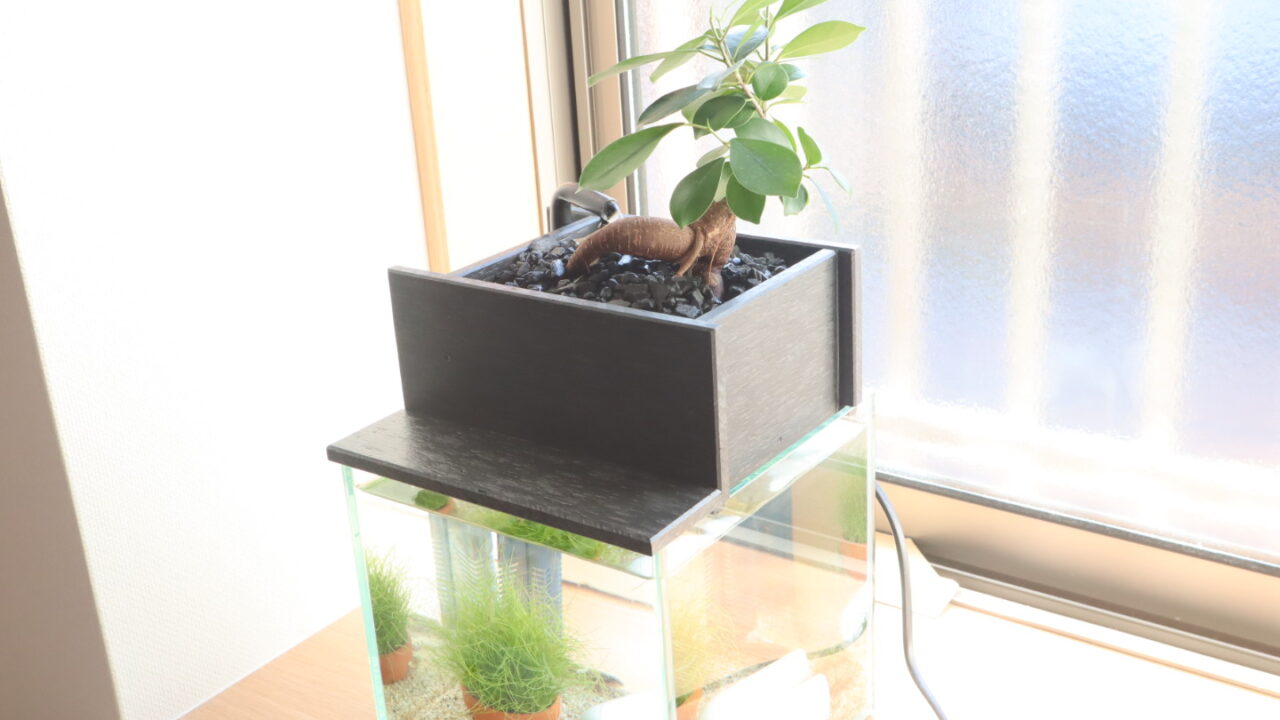 せせらぎビオトープ全体