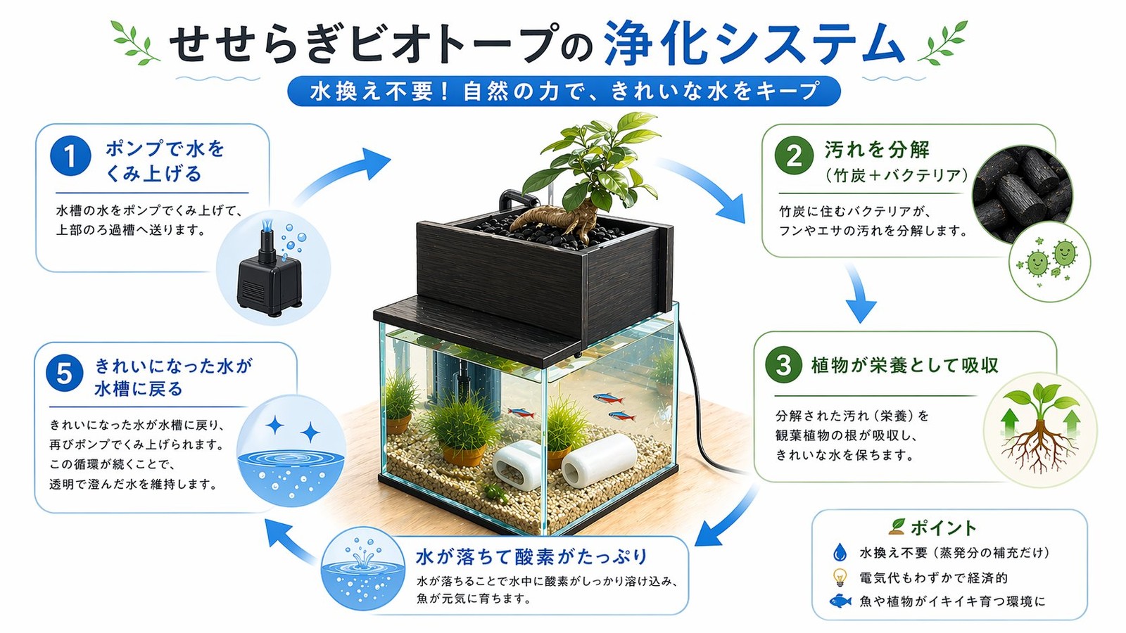 せせらぎビオトープの浄化システム
